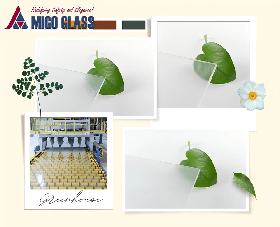 Greenhouse Glass Greenhouse Glass
